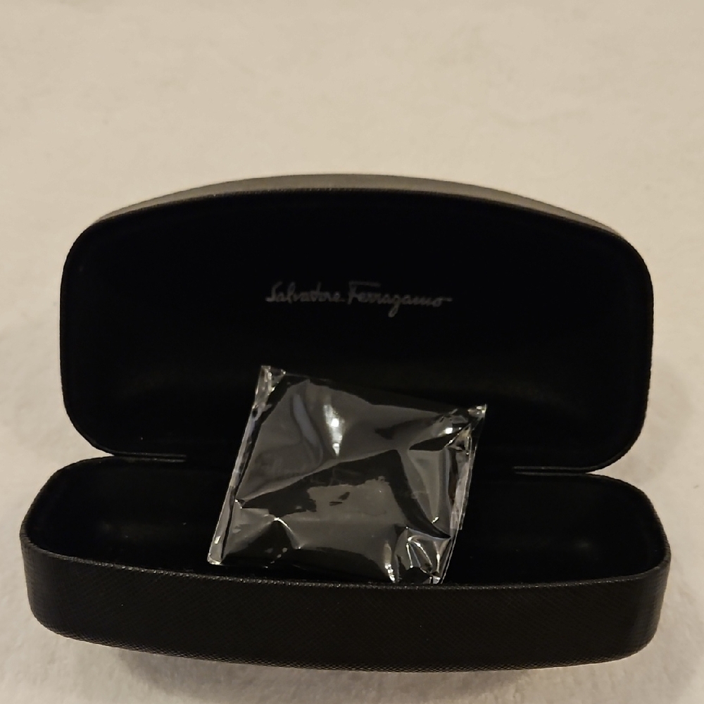 Salvatore Ferragamo Black Hard Sunglasses Case